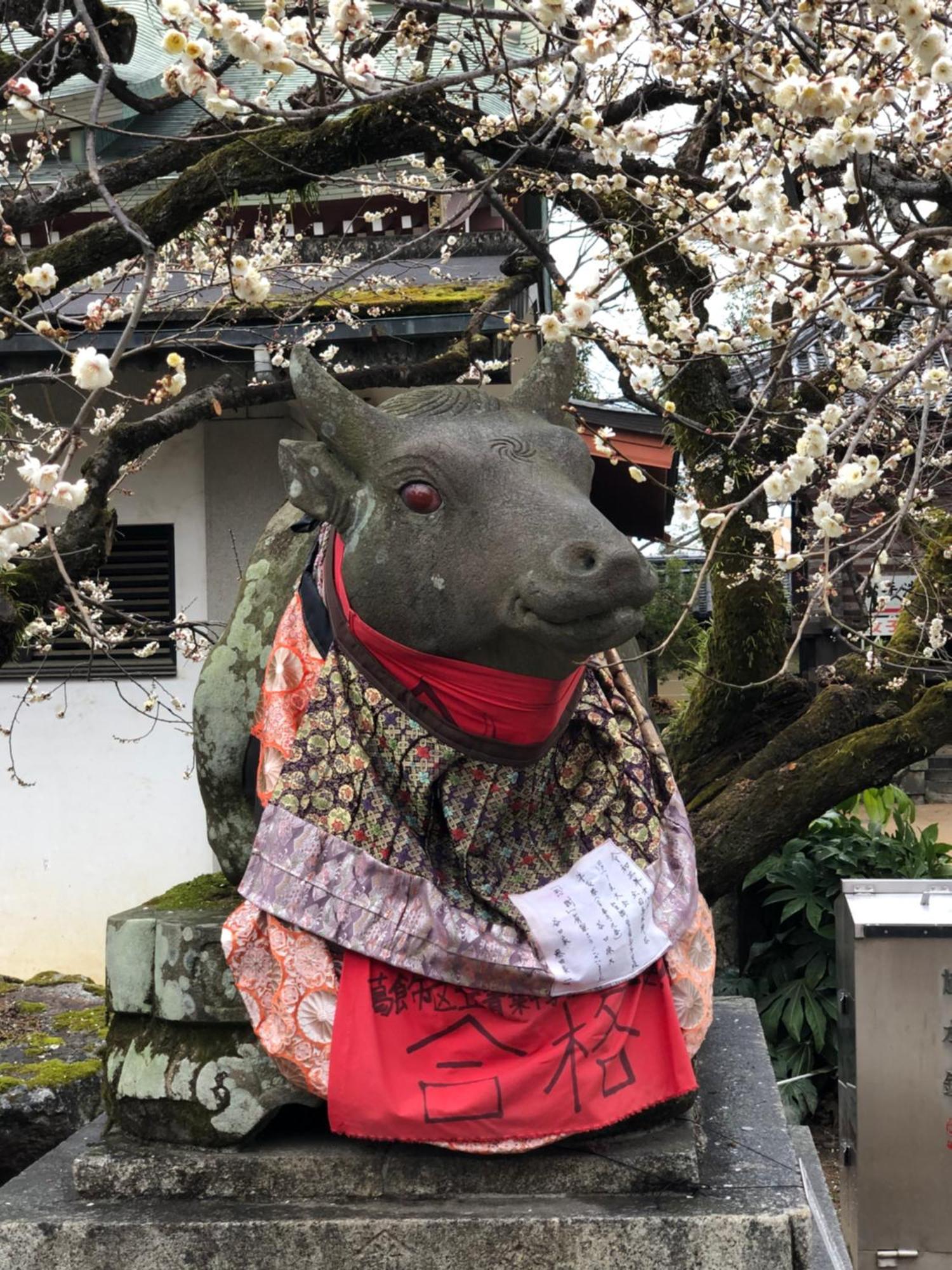 椿庵・京都 エクステリア 写真